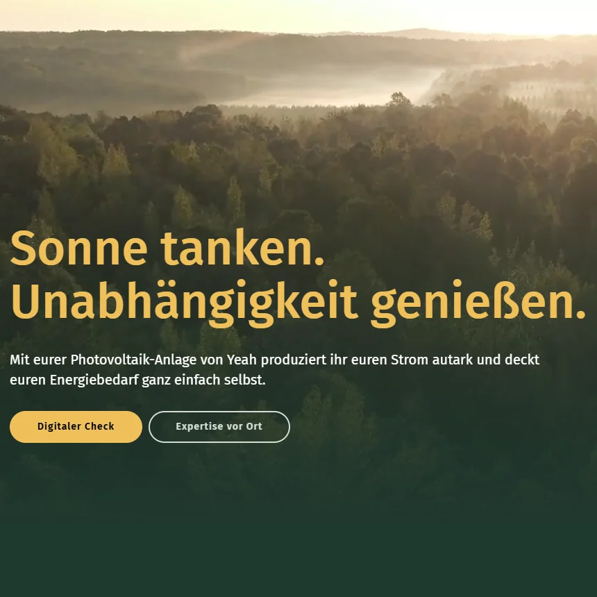 Ausschnitt des Titels mit den Knöpfen „Digitaler Check“ und „Expertise vor Ort“